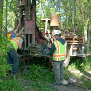 construction workers cutting down trees