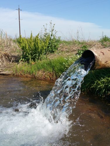 water coming out of pipe into river