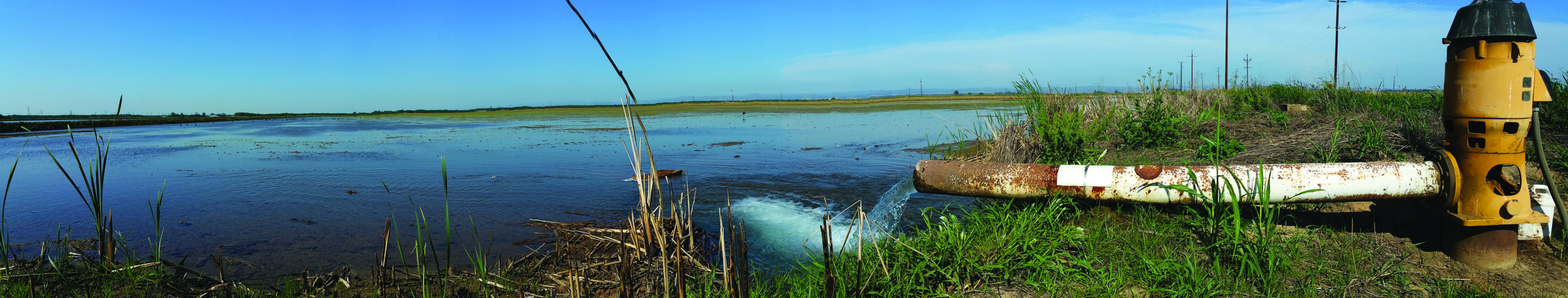 panoramic view of water