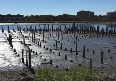 Senator Joseph Finnegan Park Remediation and Restoration | GEI