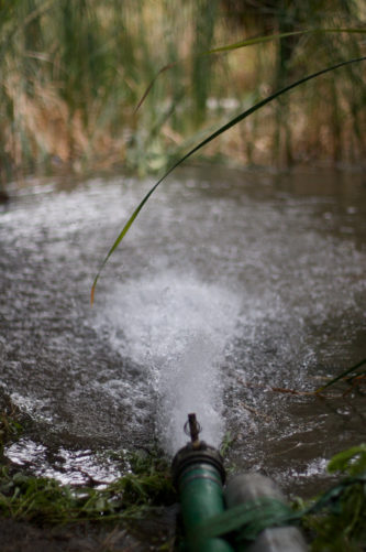 close up of water coming out of hose