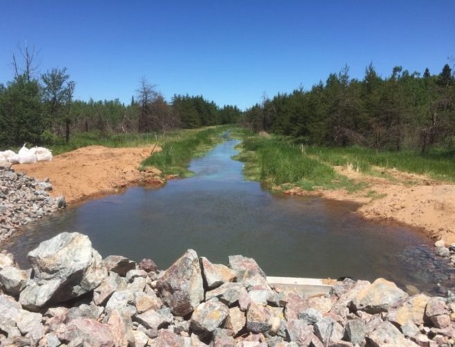 stream by rocks and grass