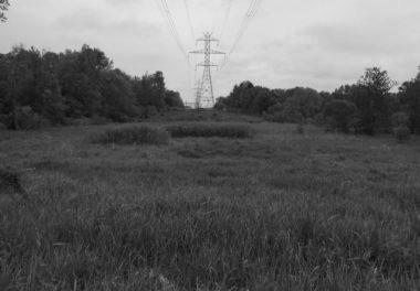 power lines above field of grass