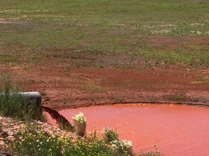 red sludge and grass