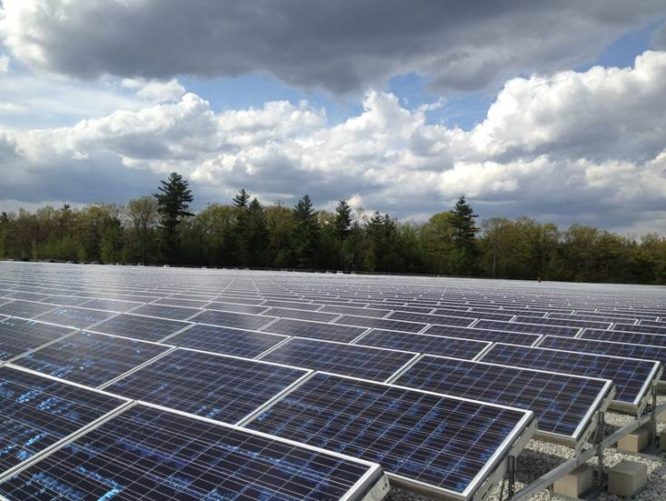 rows of solar panels