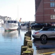 cars parked along water's edge with boat in water