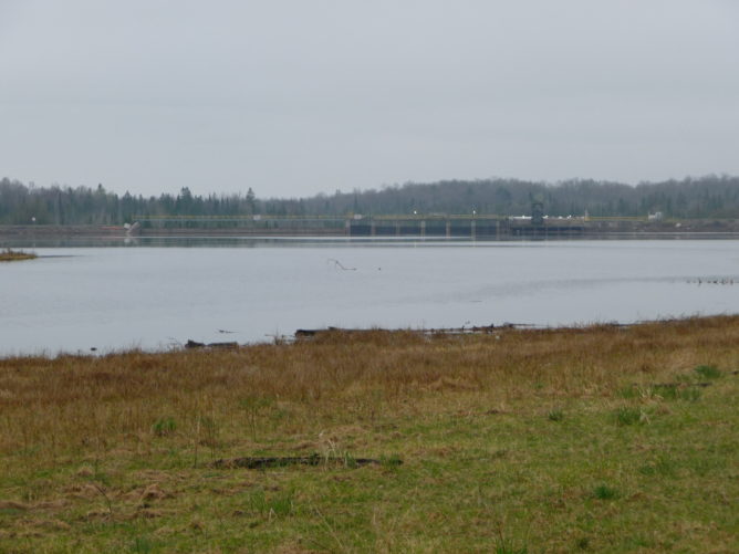 grass shore on Boney Falls Dam