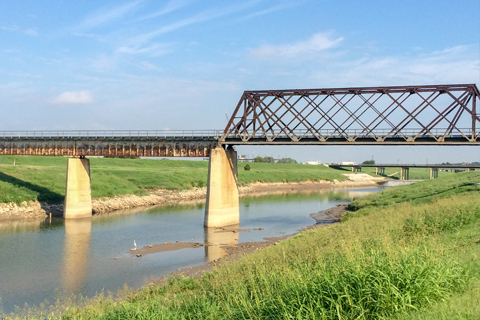 bridge in marsh