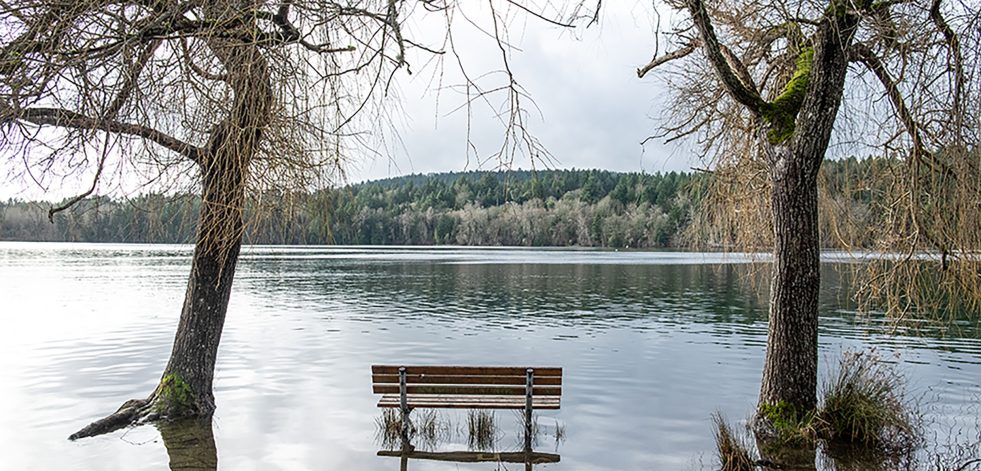 flooded park bench at a tranquil lake,