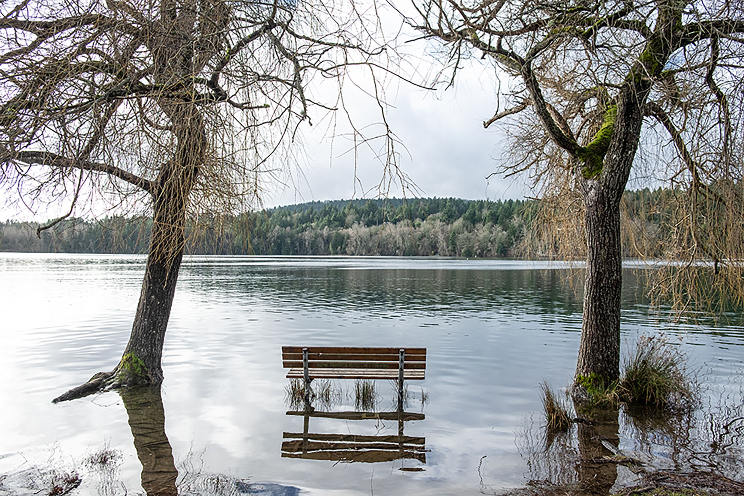 flooded park bench at a tranquil lake,