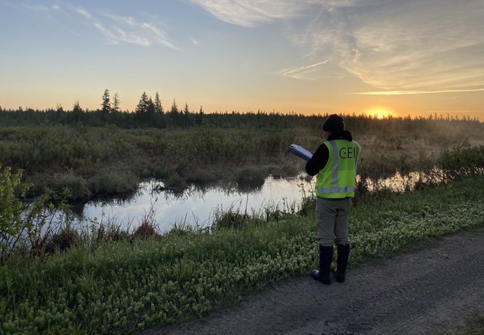 Staff performing wetland delineation