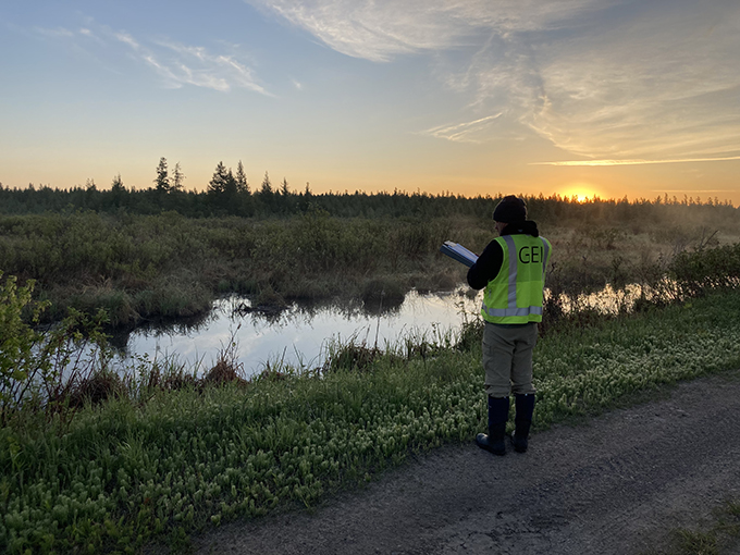 Staff performing wetland delineation