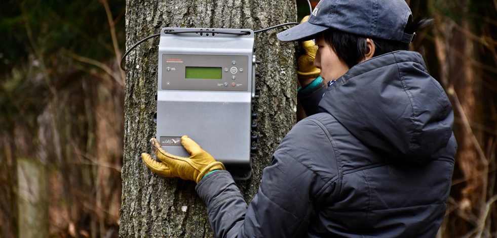 Ecologist installing a bat detector on a tree