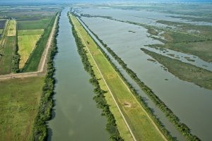 Flooded tidal marsh