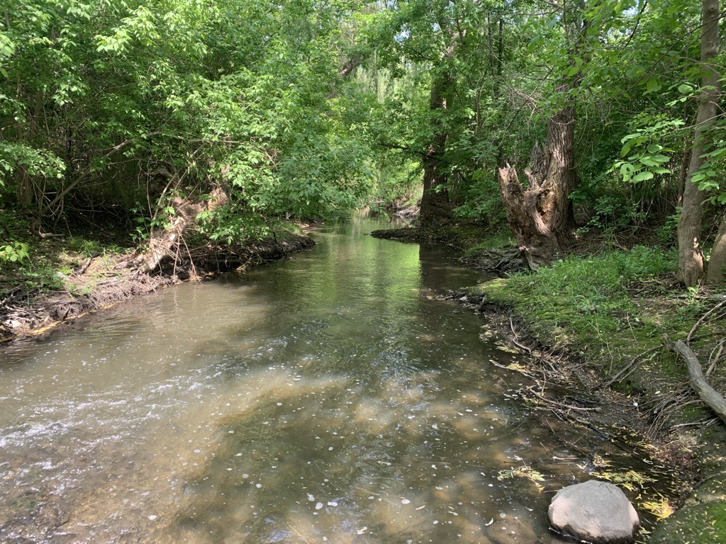 Stream in Ontario