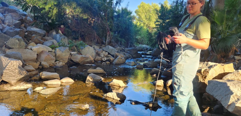 Woman sampling water in shallow stream