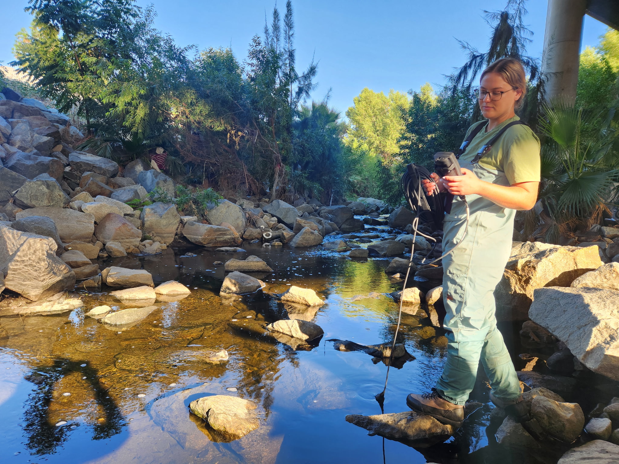 Woman sampling water in shallow stream
