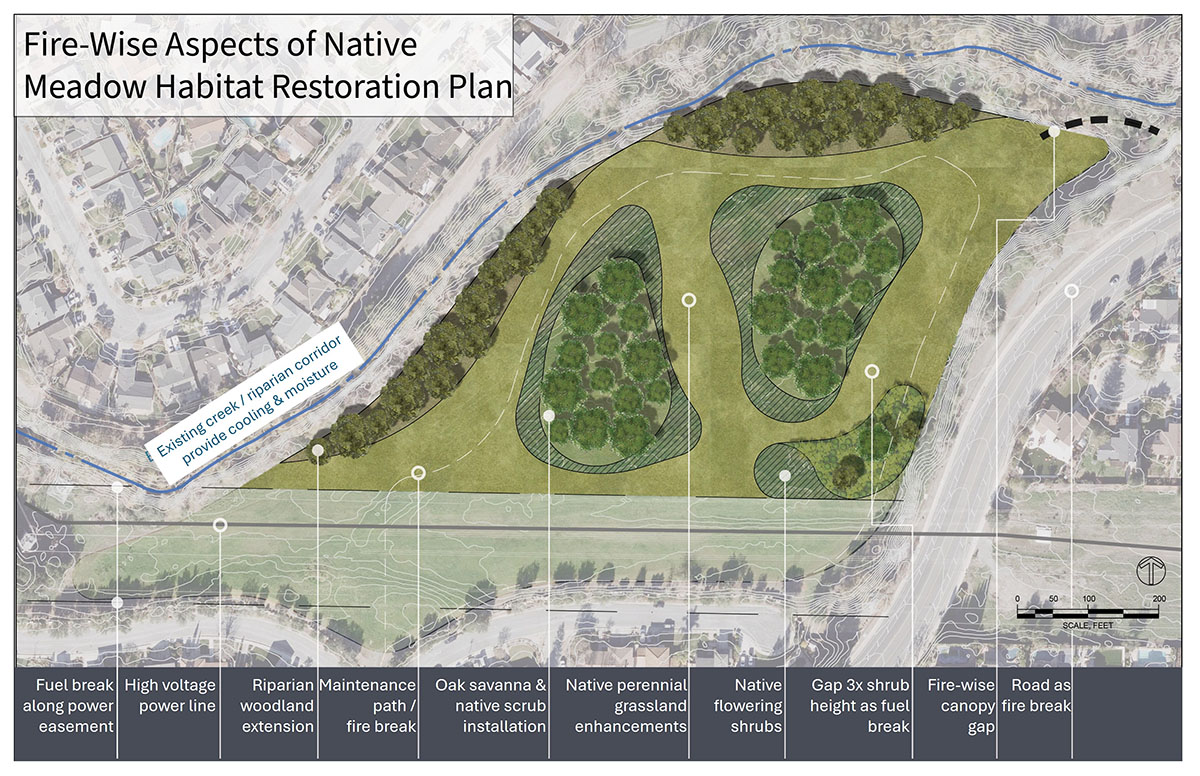 Map of Fire-wise Native Meadow Plan_Web