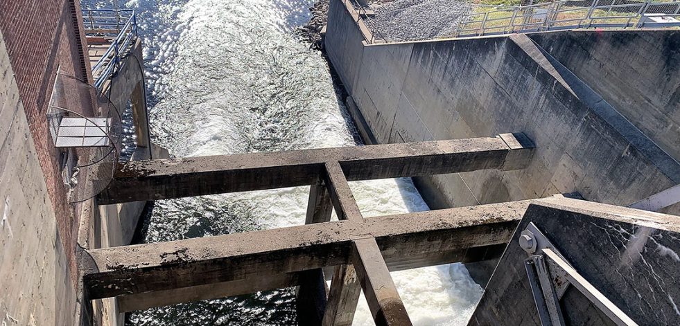 View of Right Training Wall and Supporting Struts (Looking Downstream)