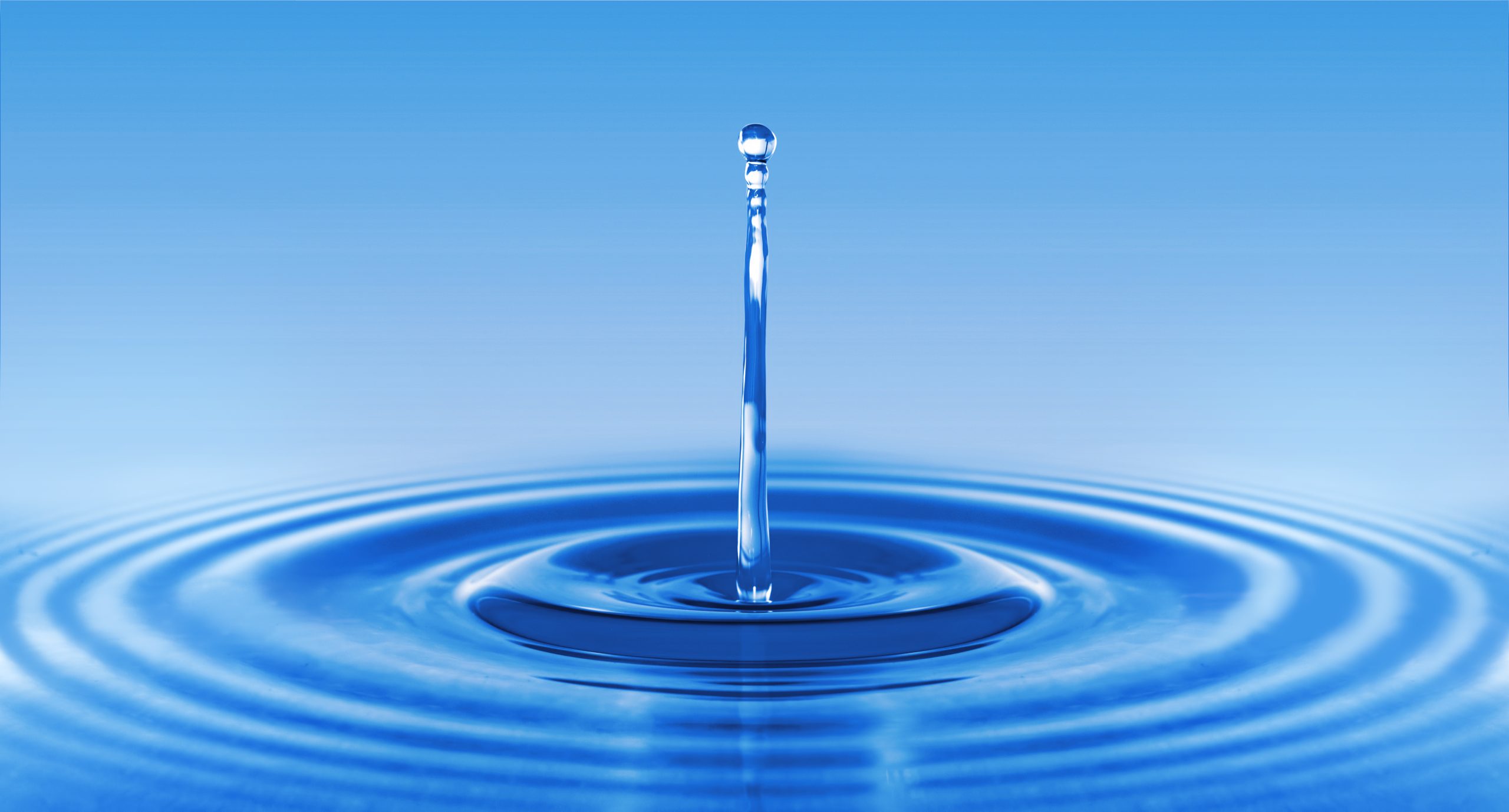 Droplet of water