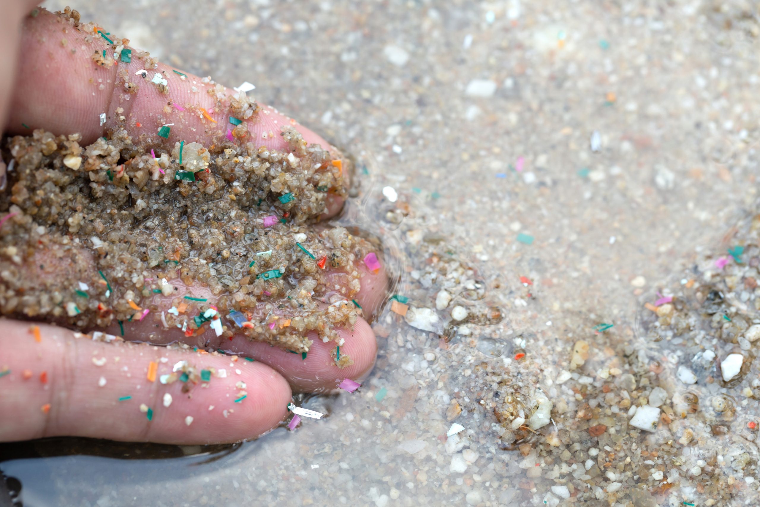 Close-up side shot of hands shows microplastic waste contaminated with the seaside sand.
